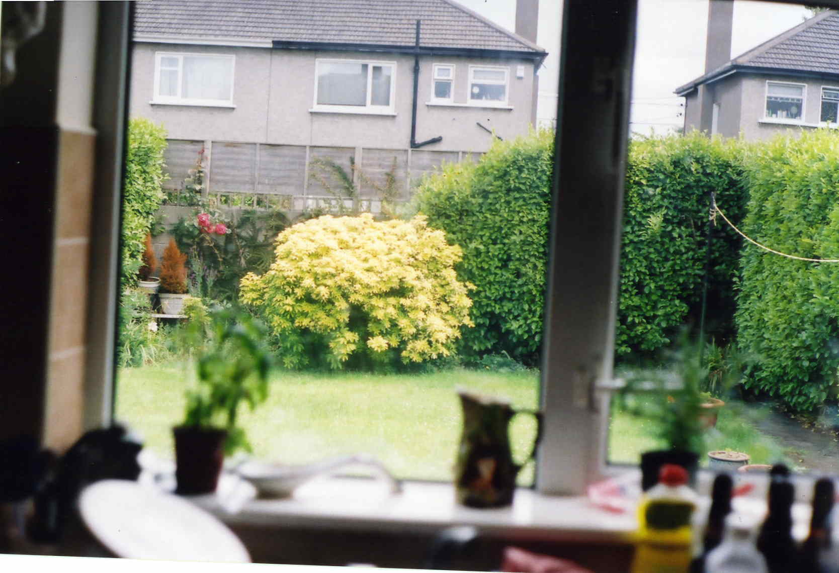 Back Garden.jpg